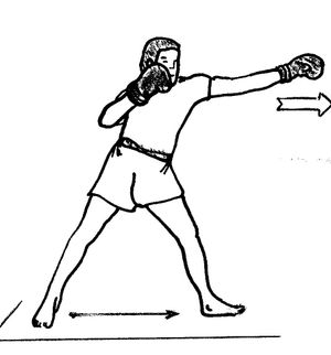 스탠스 (자세) 측면 스탠스 자세의 잽