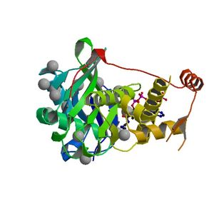 히스톤 아세틸기전이효소의 3차원 구조