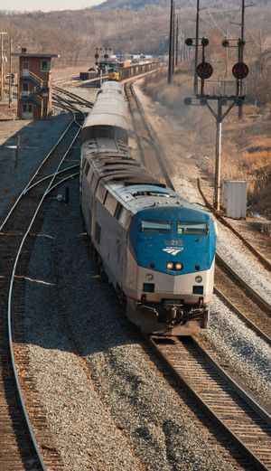 캐피톨 리미티드