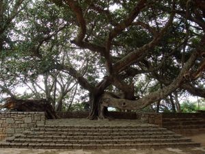 암보히망가 전경