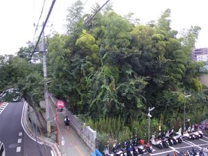 근처 육교에서 본 야와타노 야부시라즈 (2008년 9월)