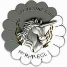 사령부 및 병참대대(ECL). 고통없이 복무