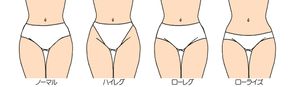 여성용 쇼츠, 팬티 디자인 종류.