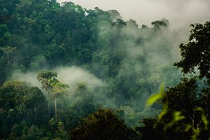 카엥 크라찬 국립공원