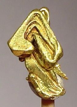 투올러미 군에서 채취한 금 표본