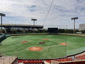 오사카시 남항중앙야구장 (2021년 9월. 백 네트 뒤에서)