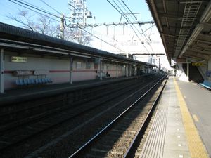 플랫폼 (2010년 1월)