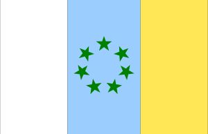 CIIM이 제안한 깃발