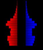 캠벨군의 인구 피라미드