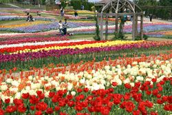 기소산센 공원(2007년 4월)