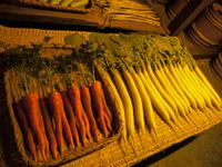 에도 시대 후기 무 재현 전시 (후카가와 에도 자료관)