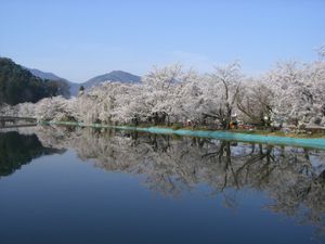 와룡공원(臥竜公園)