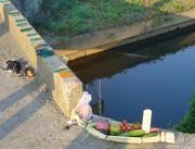 정령선(본선(ぼんぶね))(지바현)(마코모로 만든 배에 칠석 중에 바친 제물을 싣고 강에 띄운다)