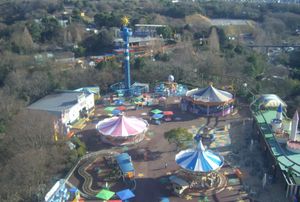 일본 원숭이 공원