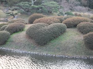 고이쓰쓰지}}(사랑의 철쭉)