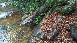 다리안 계곡에 드러난 북서쪽으로 경사하는 장산 규암층