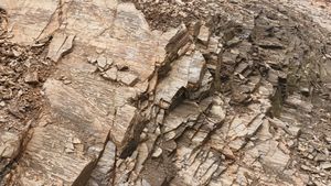 제천시 청풍면 황석리, 청경명리조트(도로명주소 : 제천시 청풍면 호반로 4060) 전면 지방도 제532호선 도로변의 삼태산층 석회암