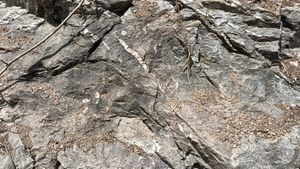 제천시 청풍면 황석리/사오리 지방도 제532호선 도로변의 삼태산층