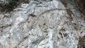 제천시 청풍면 황석리/사오리 지방도 제532호선 도로변의 삼태산층