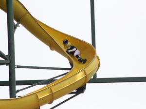 미끄럼틀을 타고 내려오는 버니 브루어