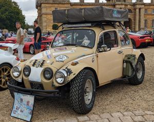 바하 버그섀시, 보디 유용의 험로 주파를 중시한 커스텀 카의 부류에 들어간다