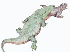 길이 3m를 훌쩍 넘는 거대한 양서류 우라노켄트로돈 (왼쪽)에게 잡힌 리스트로사우루스 (상상도). 그들에게도 천적은 있었지만, 출현 초기에는 적었을 것이다.