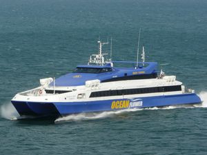 대아고속해운의 유일한 선박인 오션플라워호