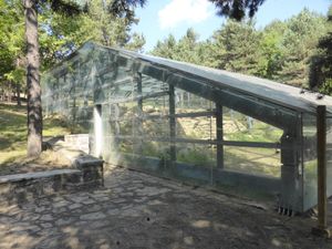 측면에서 본 5호묘