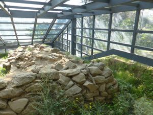 뒤에서 본 5호묘