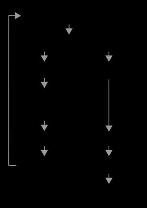 약물 유발 간독성 의심 알고리즘