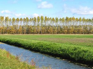 노이홀란트(Neuholland) 교외의 들판