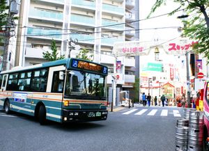 남쪽에 있는 "나리마스 스킵 마을 상점가" (2013년 4월)