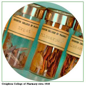 1910년경 크레이튼 대학교 약학대학의 생약