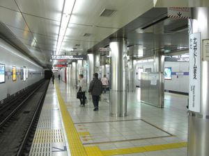 이동식 홈 울타리 설치 전의 메이조선 홈 (2010년)