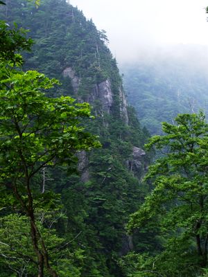 산조산의 돌담