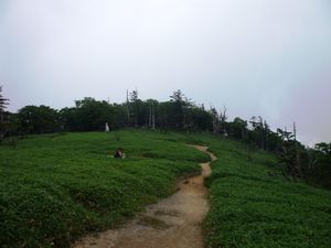 산조산 정상