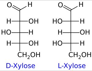 D-자일로스와 L-자일로스