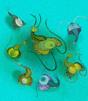 다양한 제안로게리움목의 새각류