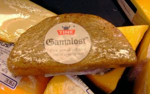 가말로스트의 입자가 보이는 모습