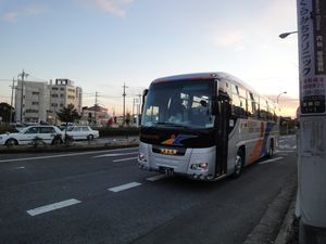 로즈 라이너(나리타 공항선) 나리타 공항행