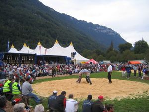 2006년 운슈푼넨 축제의 슈빙겐 경기 장면