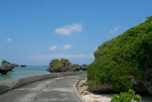 구불구불한 도로와 풍경