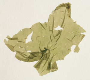 마키히토에 (히비미드루목)