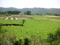 니시키바루 대지