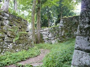 혼마루로의 호구