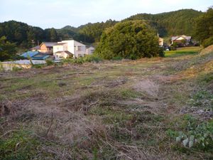 시모야시키(下屋敷) 터