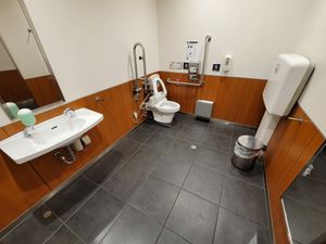 다기능 화장실 (2022년 1월)