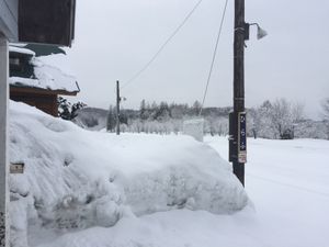 2015년 3월 눈 덮인 플랫폼의 모습