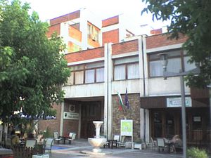 고체 델체프 시