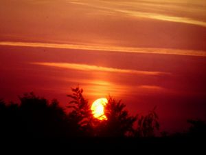 벨포르, 프랑스